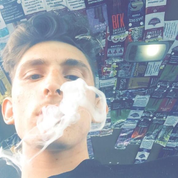 Meet your Posher, Dylan - Picture 1 of 1